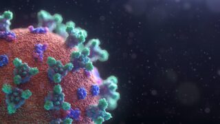 coronavirus picture